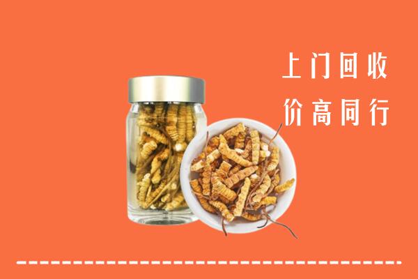 呼伦贝尔鄂温克族旗回收冬虫夏草